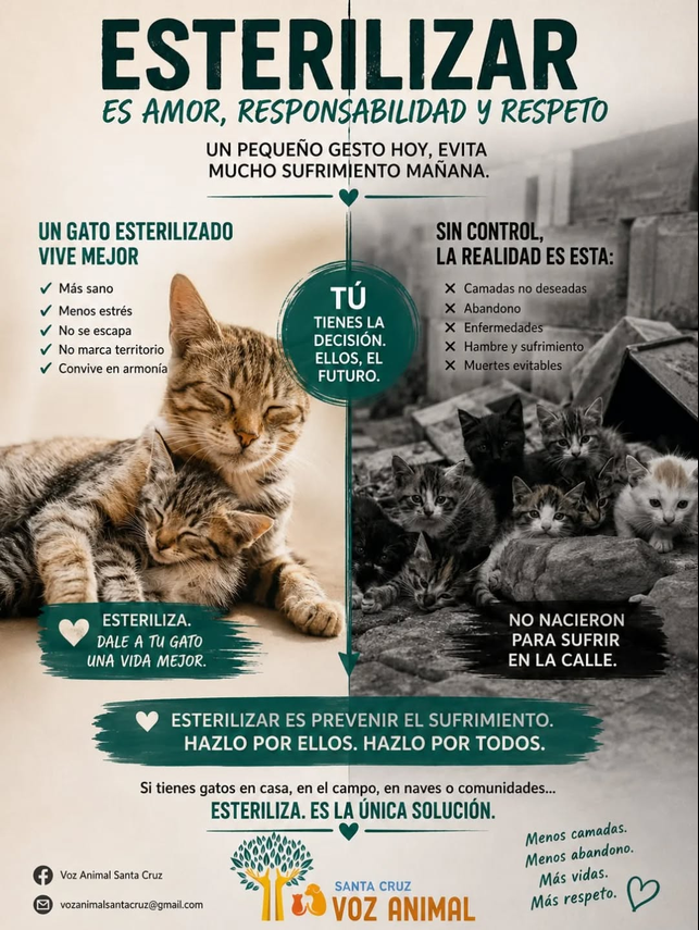 Campaña de esterilización en Santa Cruz de la Zarza, Toledo