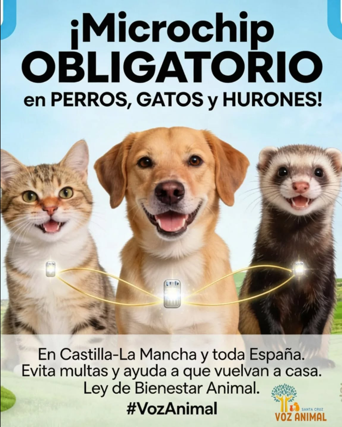 Campaña microchip obligatorio para animales en Castilla La Mancha de Voz Animal Santa Cruz